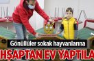 Gönüllüler sokak hayvanlarına ahşaptan ev yaptılar