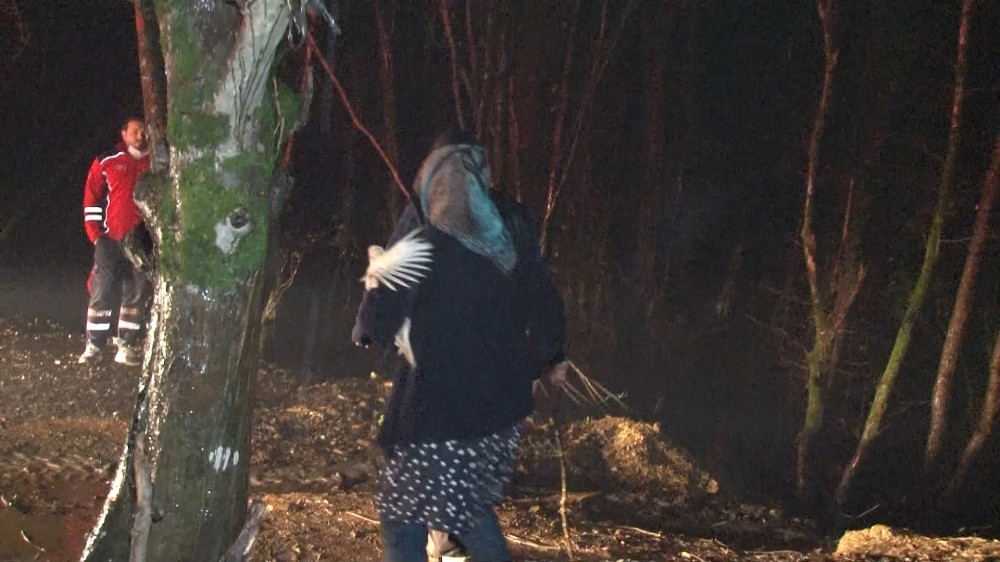 Beykoz’da mandırada yangın çıktı, hayvanlar telef oldu