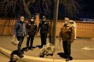 Bu sefer suçlu değil, firari köpeğin sahibini araştırdılar