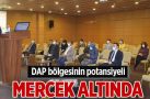 DAP bölgesinin potansiyeli mercek altında
