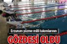 Erzurum yüzme milli takımlarının gözdesi oldu