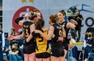 VakıfBank, namağlup çeyrek finalde