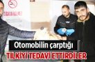 Otomobilin çarptığı tilkiyi tedavi ettirdiler