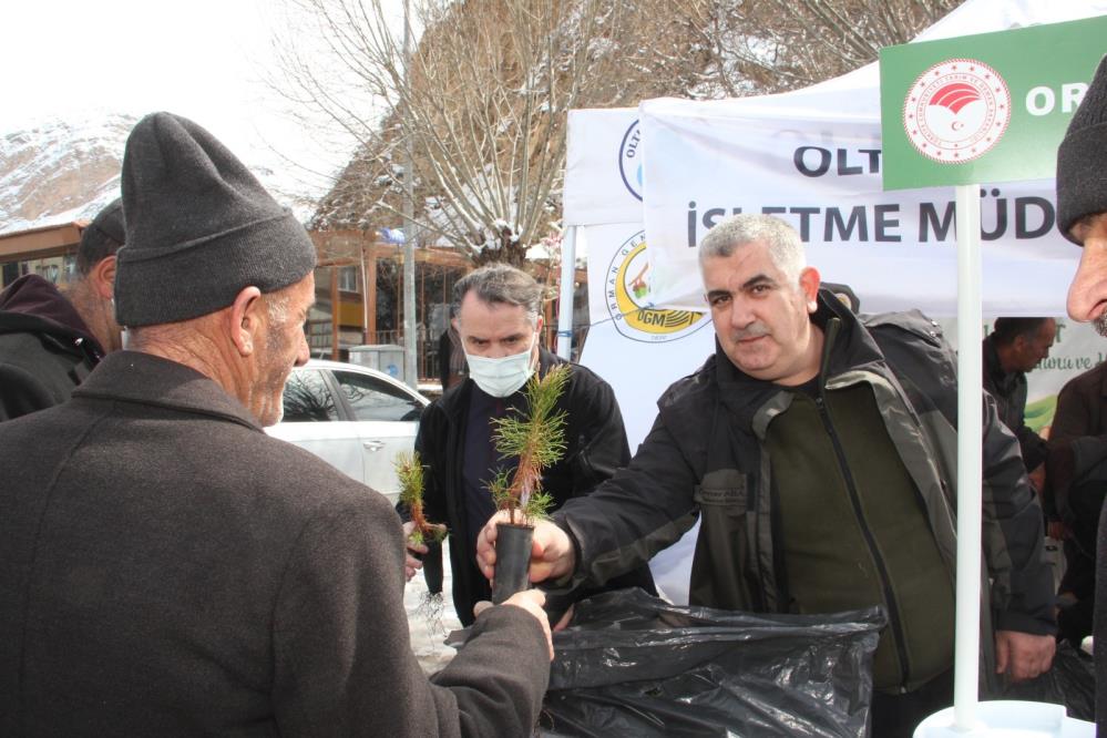 Fidan dağıtımında izdiham yaşandı
